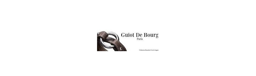 Guiot De Bourg